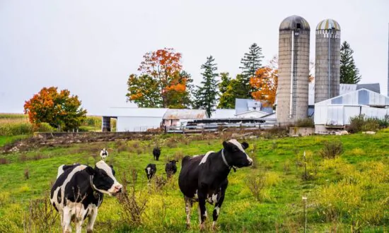A Message to President Biden: Please Keep the Chinese Regime Away From American Farmland
