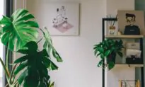 Pretty with Plusses—Indoor plant life proves beneficial in manifold ways