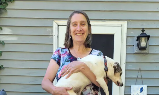 12 Old Dogs and Hugs for Life