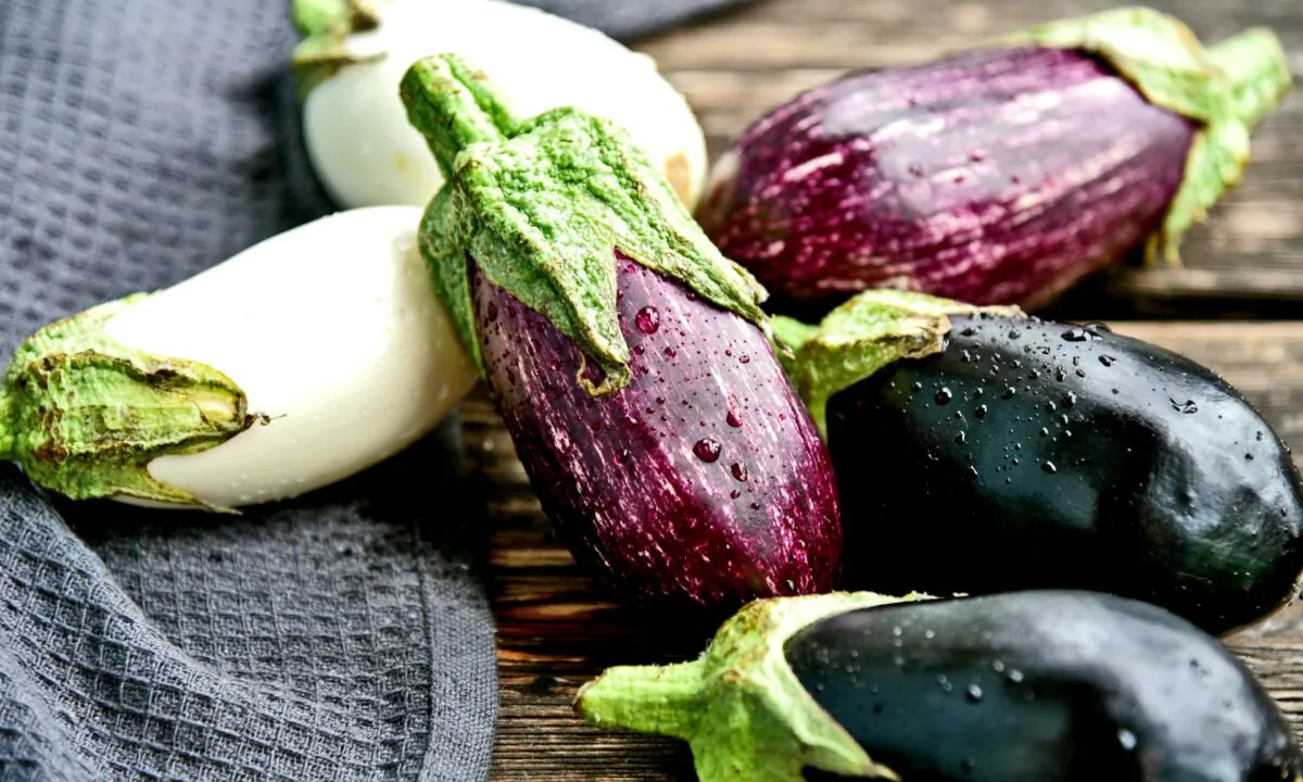 Come summer, eggplants show up at the markets in a variety of shapes, sizes, and colors. (PosiNote/Shutterstock)