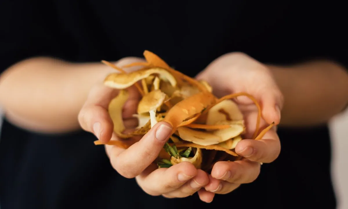 This new term is a marketing facelift for the age-old concept of using low-valued foods or food processing byproducts to generate new food products. (Troyan/Shutterstock)