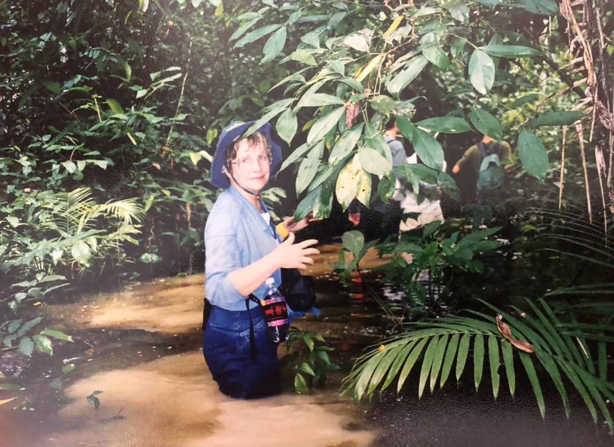 Bonnie Neely wades through flood water near the Tambopata Research Center in Peru. (Courtesy of Bill Neely)
