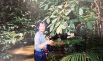 Going for a Jungle Swim