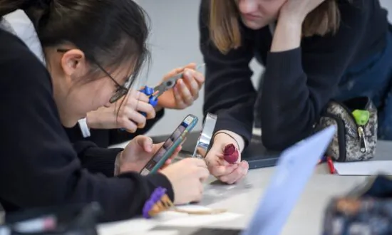 MPs Told to Ban Smartphones in Schools to Clampdown on Upskirting and Pornography