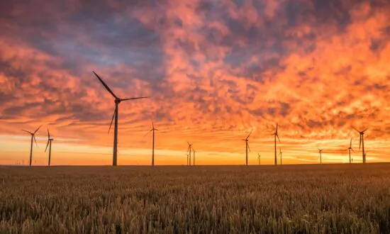 Will Investors Hit the Pause Button on Sustainable Investing?