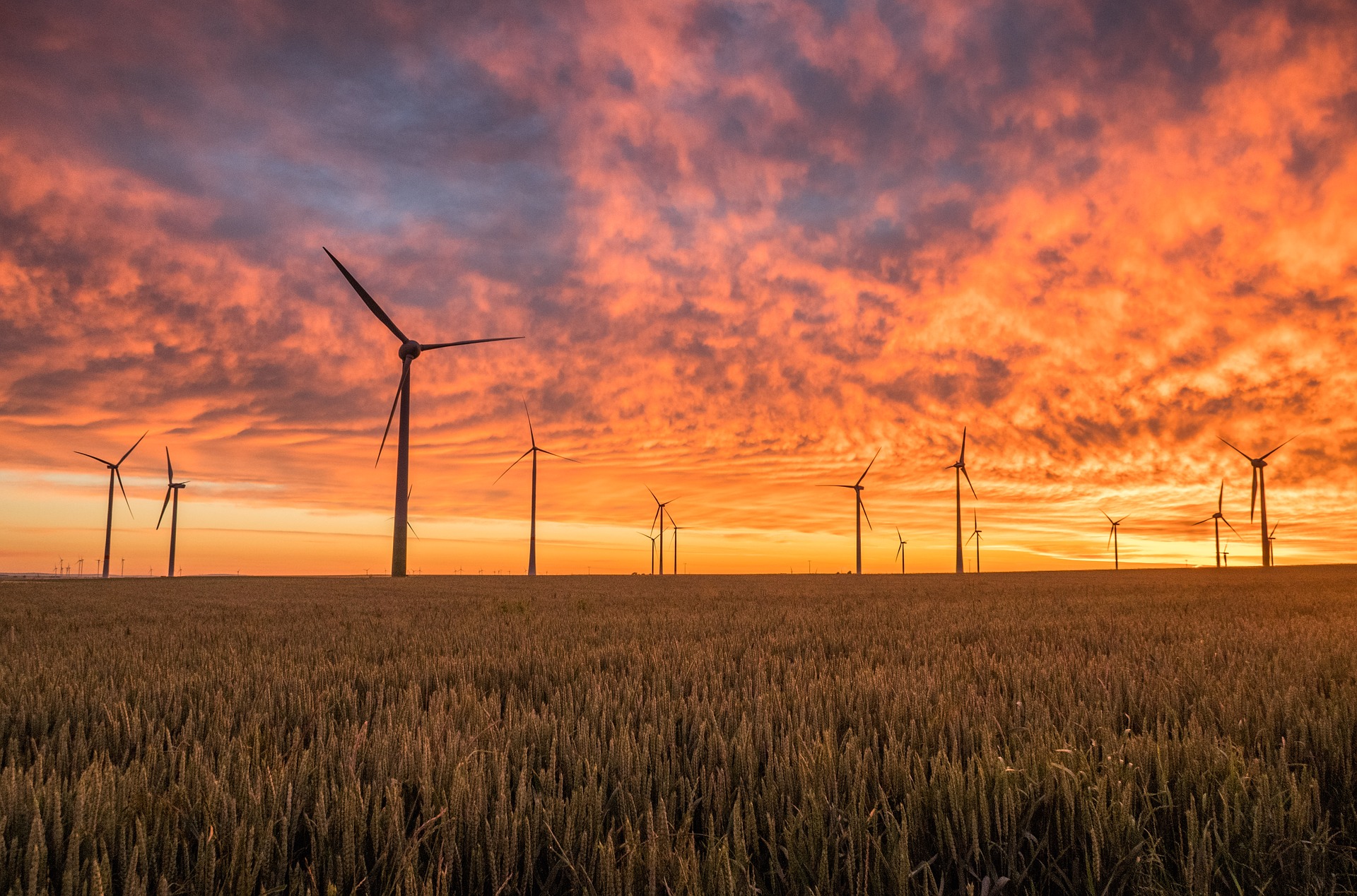 Will Investors Hit the Pause Button on Sustainable Investing? - Vimarsana News