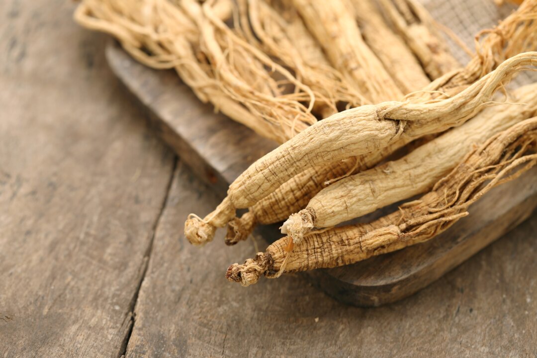 Growing
scientific evidence
shows ginseng is
neuroprotective,
cardioprotective,
liver protective,
and can treat some
serious diseases. (tarapong srichaiyos/Shutterstock)
