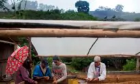 Brazilian Coffee, Sugarcane, and Corn Hit by Third Day of Frost