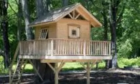 Building Childhood Dreams: DIY Backyard Treehouses, Ninja Courses, and More