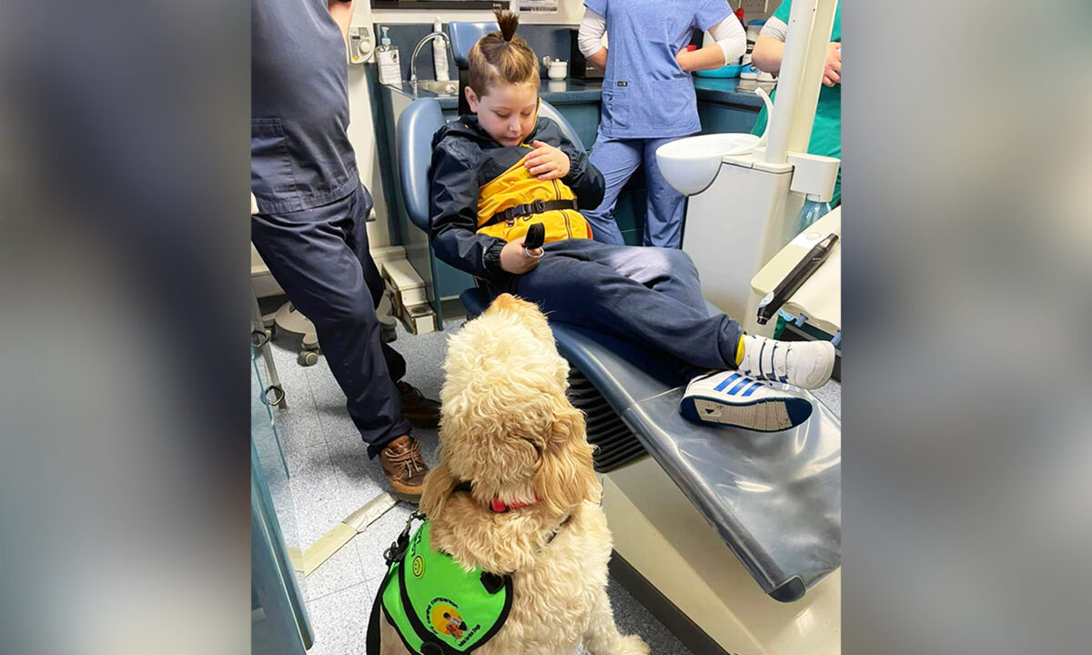 Riley, 7, with his autism service dog, Willow, during his first visit to the dentist on May 28. (Courtesy of Nicole Duggan)