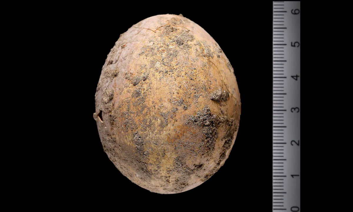 (Courtesy of Dafna Gazit/Israel Antiquities Authority)