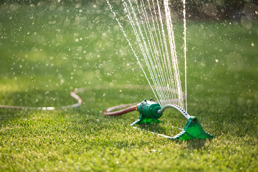 Watering is required to keep a lawn healthy and free from risk of serious pest or disease problems. (PEPPERSMINT/Shutterstock)