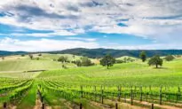 Australia Will ‘Win’ Wine Dispute With China: Minister
