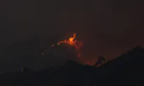 Cyprus: 4 Found Dead in ‘Most Destructive’ Forest Blaze