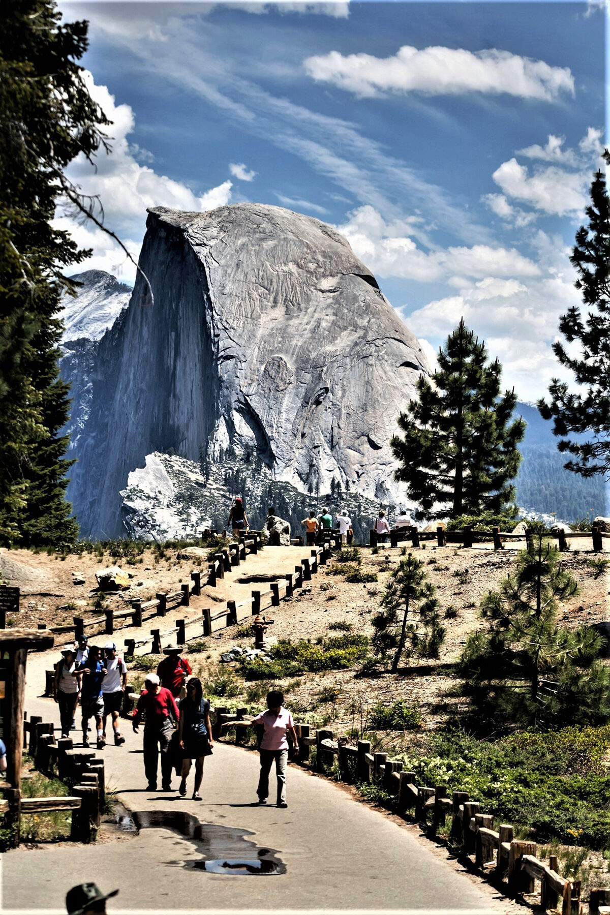 Scenic Sights Assault the Senses at Yosemite National Park