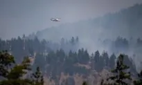Environment Canada Forecasts Thunderstorms Adding to Fire Danger in B.C.’s Interior