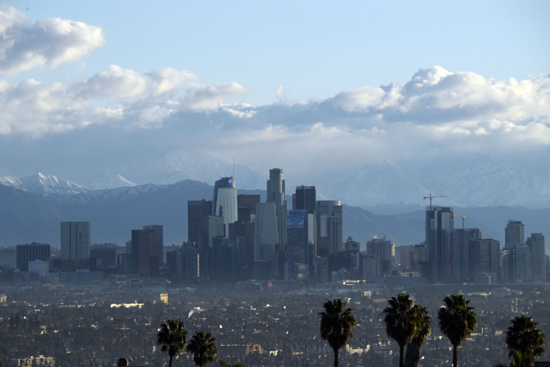 America’s White Population Shrank for 1st Time in US History, Census Data Show