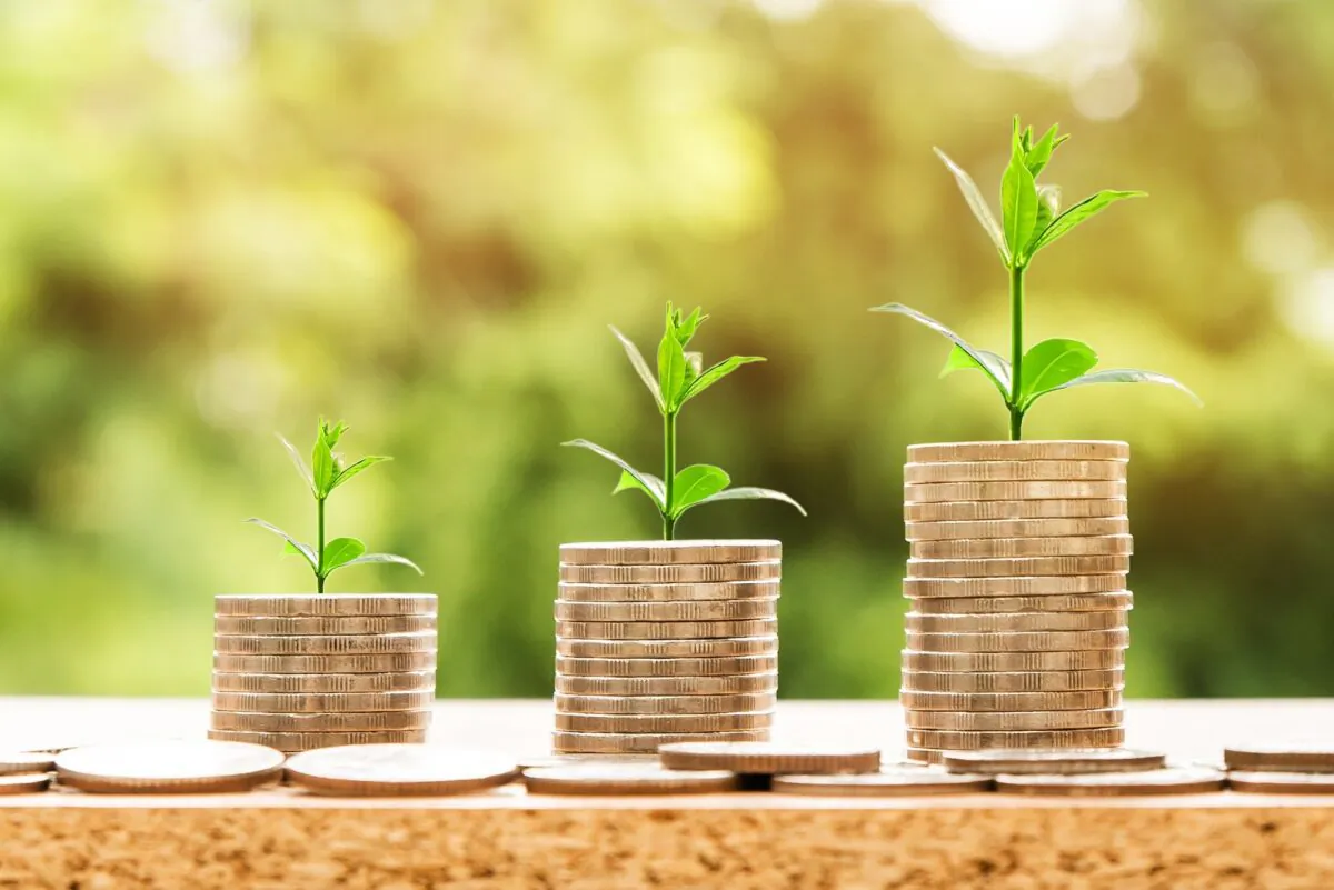 Columns of coins with grass growing on them in this photo illustration. (Nattanan Kanchanaprat (nattanan23)/Pixabay) 