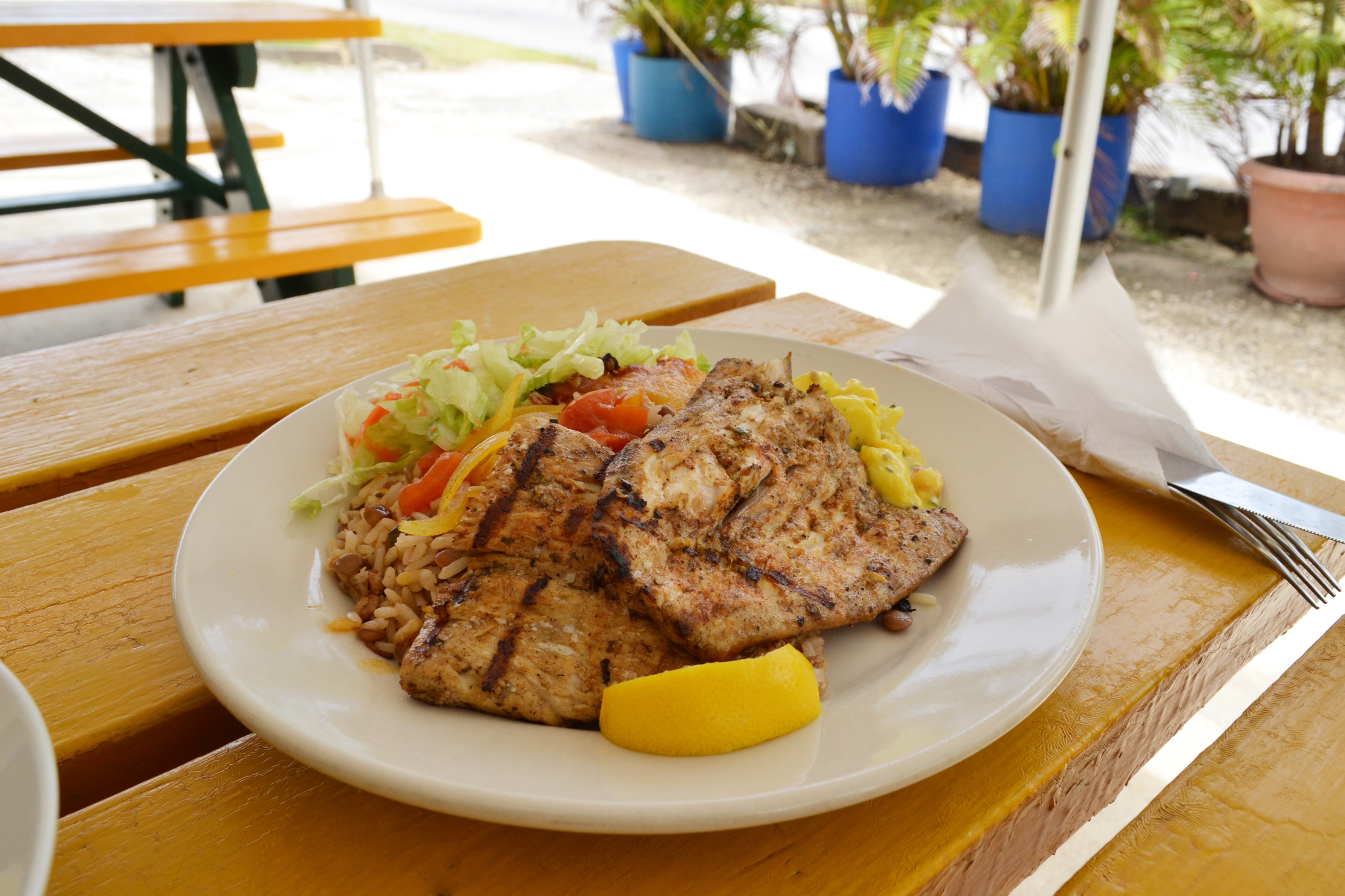 Fish Dishes - Rice and Fish