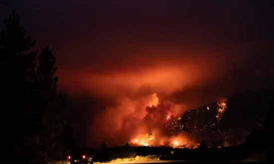 More Than 200 Wildfires Burning as BC Wildfire Service Says Risk Is High to Extreme