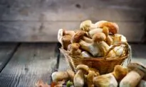 UCSD and UCLA Host Clinical Study of Herbs, Mushrooms In Treating COVID-19