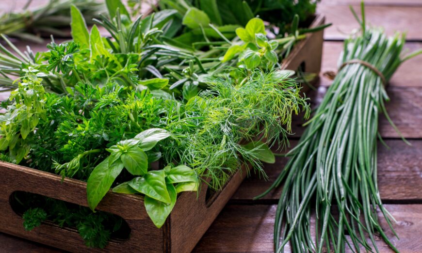 Fresh garden herbs such as peppermint, rosemary, cilantro, basil, perilla, and chives are all good to improve digestion, clean the blood, and keep the energy balanced. (NSphotostudio/Shutterstock)