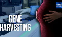 Chinese Firm Harvests Genetic Data From Women