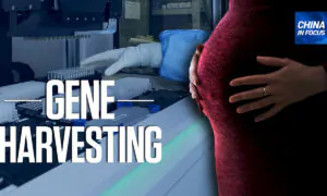 Chinese Firm Harvests Genetic Data From Women