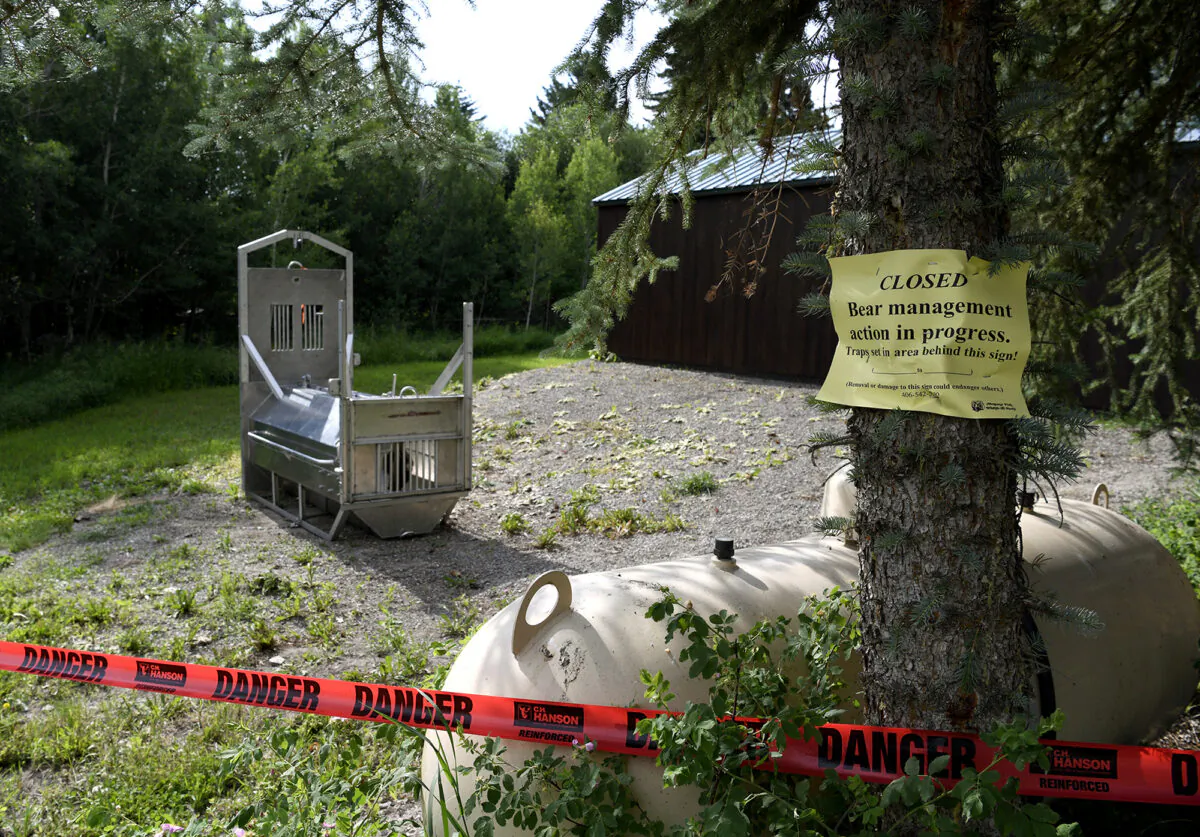 A bear trap set by Montana Fish, Wildlife and Parks sets in the camping area in Ovando, Mont., on July 7, 2021. (Tom Bauer/Missoulian via AP)