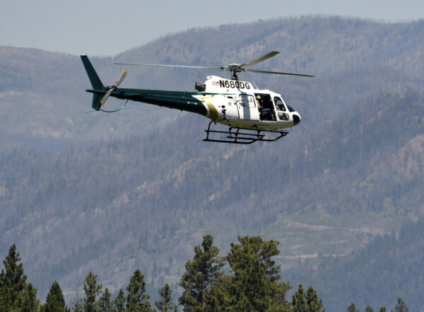 Fatal Grizzly Attack