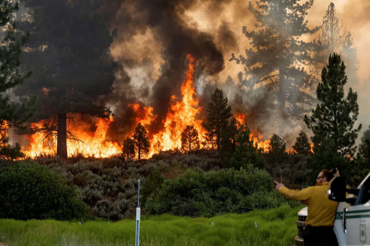 Firefighter Kyle Jacobson monitors the Sugar Fire, part of the Beckwourth Complex Fire, burning in Plumas National Forest, Calif., on July 9, 2021. (Noah Berger/AP Photo)