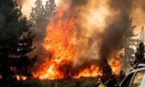California Wildfires Destroy Homes, Threaten Yosemite National Park
