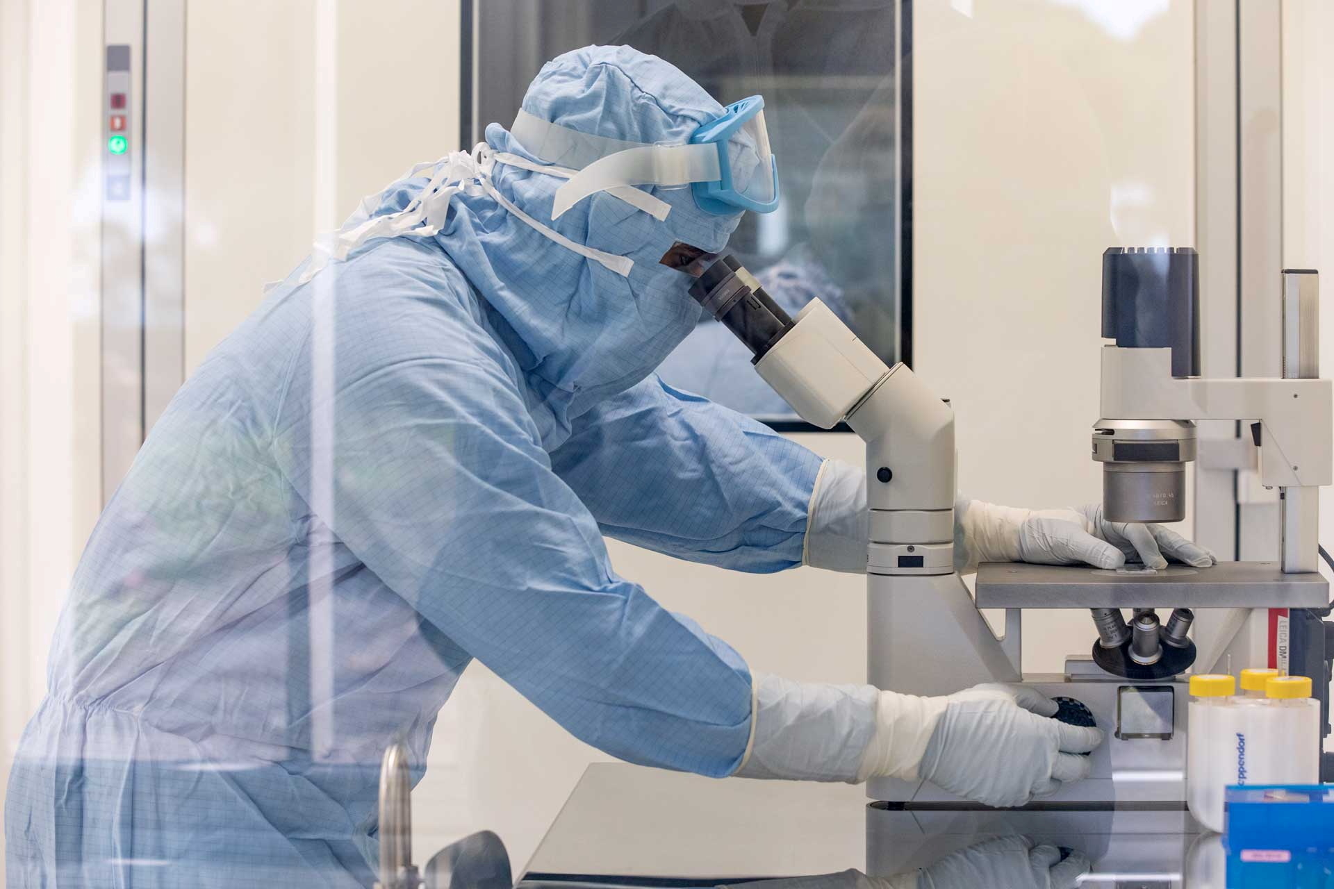 NIH Investigating Boston University's COVID-19 Study With '80 Percent' Mortality in Mice - Vimarsana News
