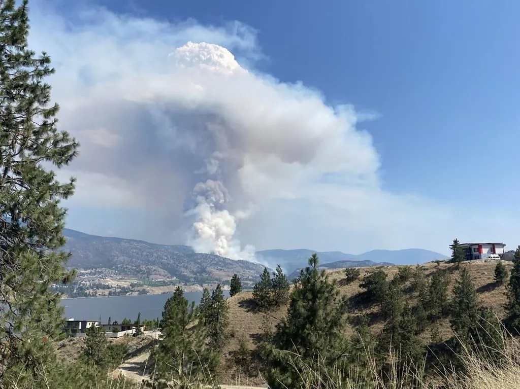 The Thomas Creek Fire, 1.5 km east of Skaha Lake, is shown near Okanagan Falls, B.C. in this recent photo. A new wildfire in British Columbia has forced the evacuation of nearly 80 properties, while residents of hundreds more homes around the south Okanagan lakeside community of Okanagan Falls have been ordered to be ready to go on short notice. (The Canadian Press/Penticton Herald-Mark Brett)