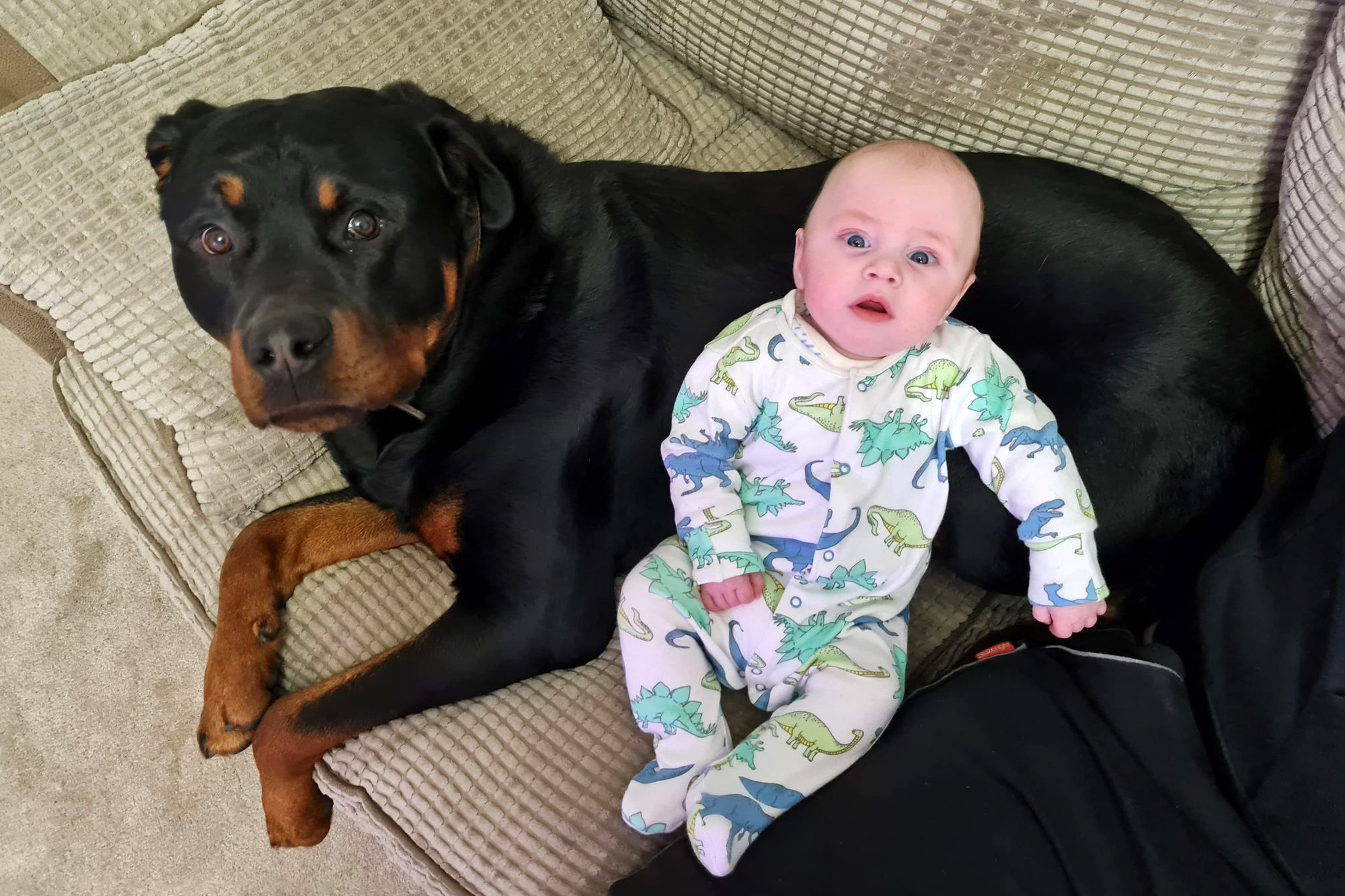 Mom Says Her Little Baby Son and Big Rottweiler Have the Cutest, 'Paw'-Fect  Bond