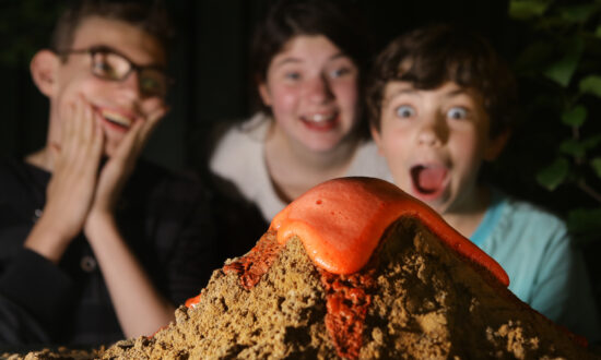 Homeschool Science: Expert Tips to Make It Fun and Simple