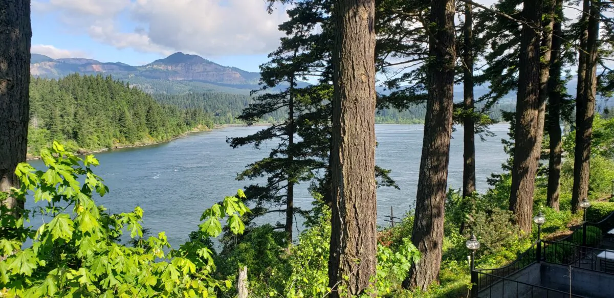 The drive from Portland to Mt. Hood follows the Columbia River to Hood River. This was taken near the Bridge of the Gods, which connects Oregon with Washington. (Anita L. Sherman)