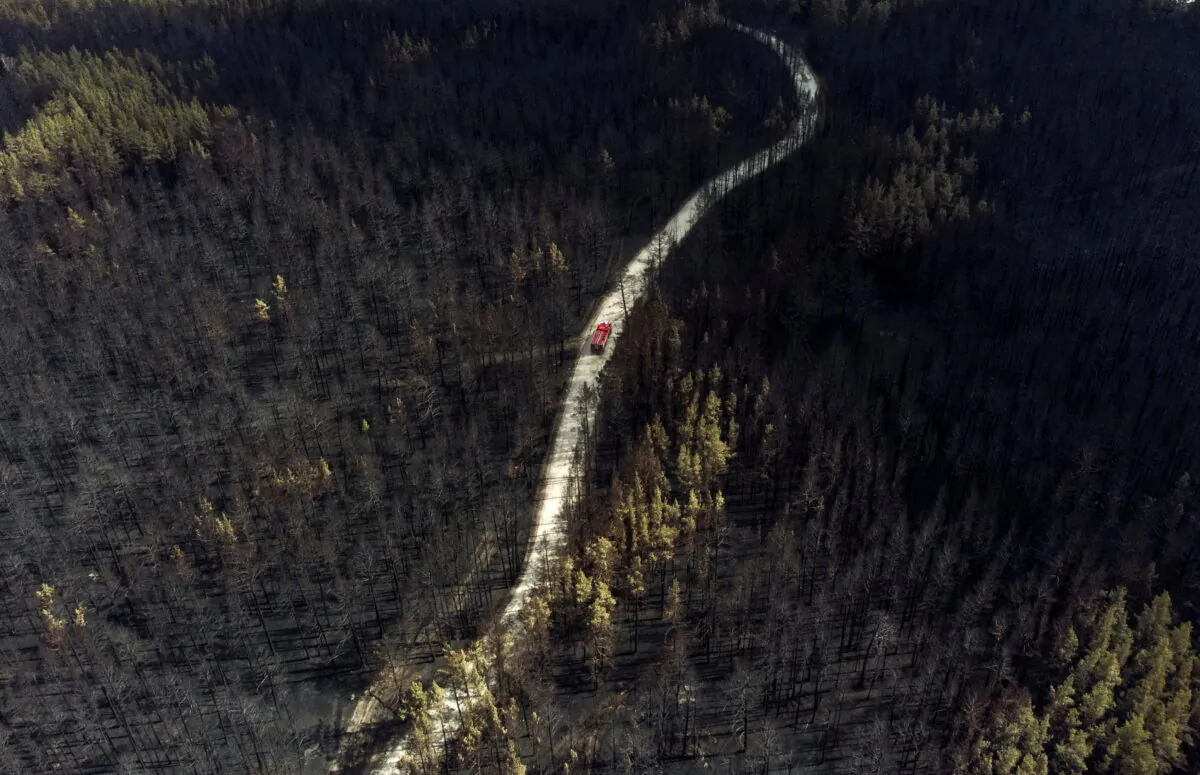 A fire truck drives across a forest burnt by wildfire towards to the settlement of Zapasnoye in Chelyabinsk Region, Russia, July 12, 2021. (Alexey Malgavko/Reuters)