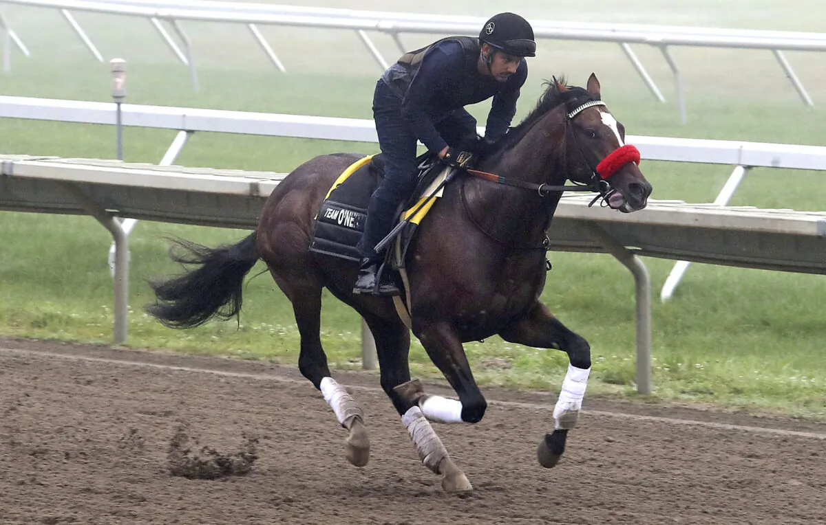 Hot Rod Charlie, with exercise rider Johnny Garcia up, gallops on the track at Monmouth Park Racetrack in Oceanport, N.J., on July 14, 2021. (Bill Denver/EQUI-PHOTO via AP)