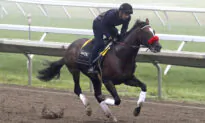 Hot Rod Charlie Favored in $1 Million Haskell at Monmouth