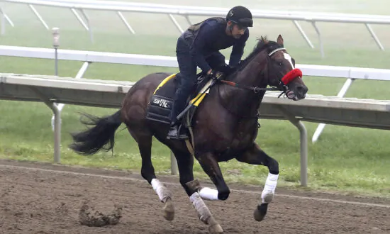 Hot Rod Charlie Favored in $1 Million Haskell at Monmouth