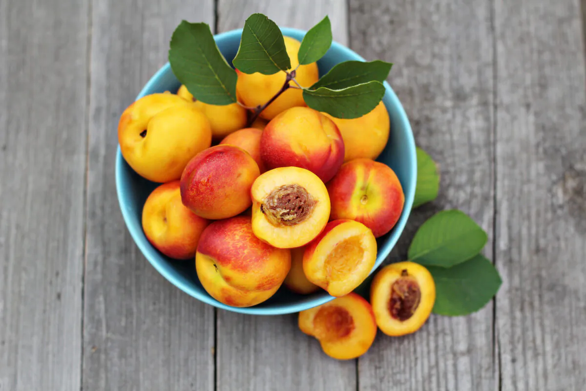 Fresh peaches are available from late spring through late summer, but they’re best at their peak in July and August. (Dreamstime/TNS)