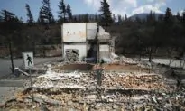 Wildfire in Lytton, B.C. a ‘Wake up Call’ to Take Precautions: Safety Board