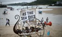 The World’s Climate Is Changing, so What Should We Do?