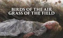 Pure Beauty: ‘Birds of the Air, Grass of the Field’