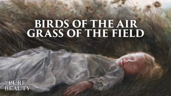 Pure Beauty: ‘Birds of the Air, Grass of the Field’