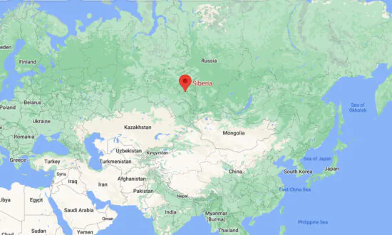 Small Plane Makes Forced Landing in Russia: All Aboard Safe
