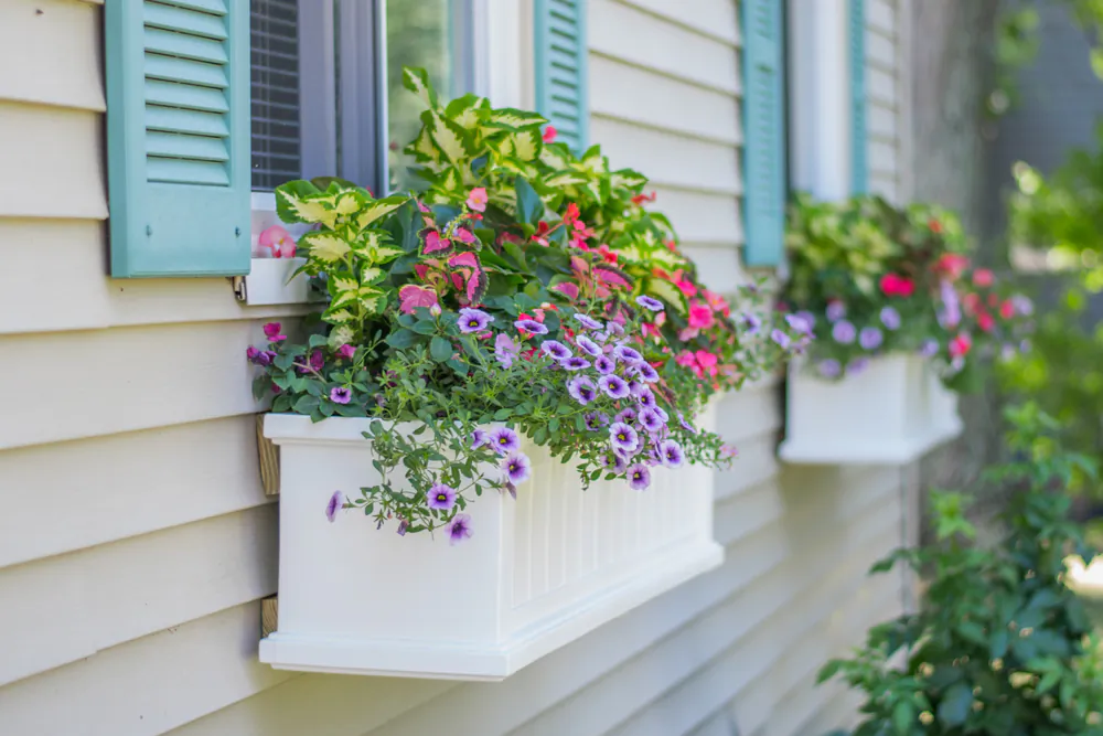 Window boxes are a blank slate for you to design and plant in. (ellieanneimages/Shutterstock)