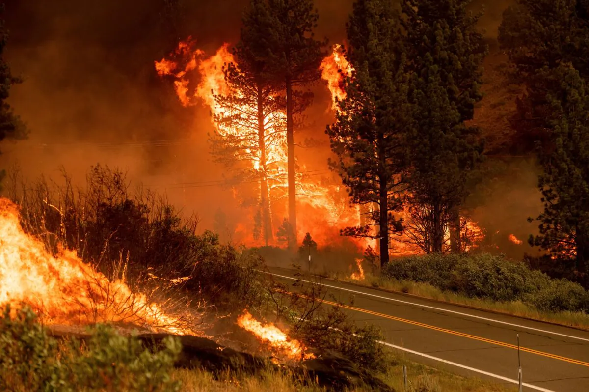 The Tamarack Fire burns in the Markleeville community of Alpine County, Calif., on Saturday, July 17, 2021. (AP Photo/Noah Berger)