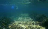 Cyprus Showcases Ancient Undersea Harbor to Draw Tourists